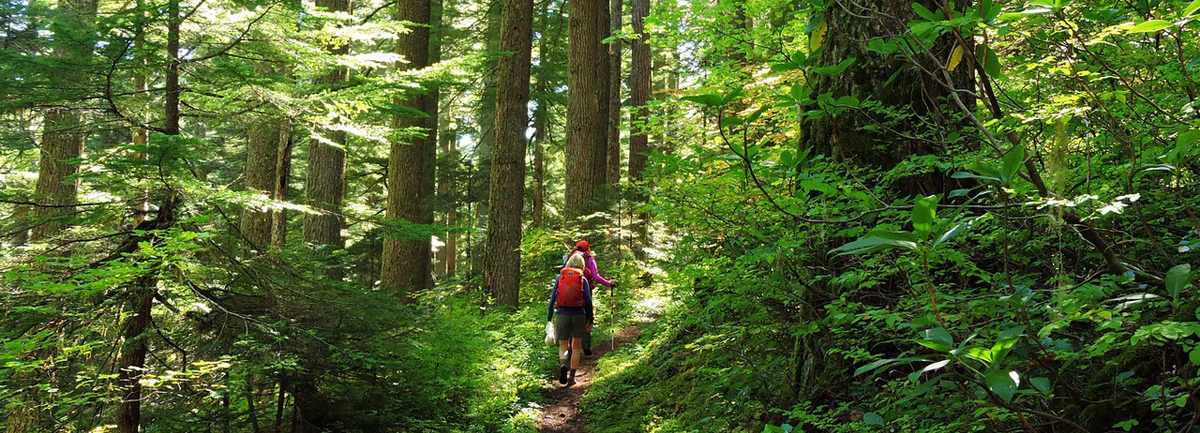 Multnomah Falls to Larch Mountain via Oneonta Trail
